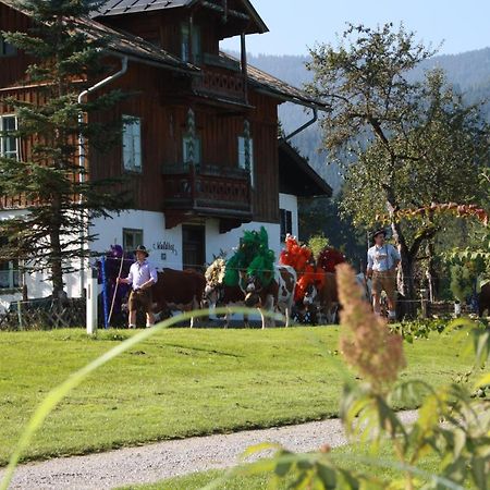 Gaestehaus Hoegerhof Хопфгартен-им-Бриксенталь Экстерьер фото
